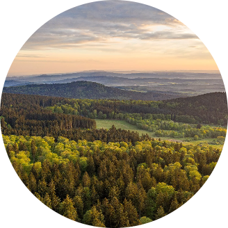 Landschaft mit Baemen
